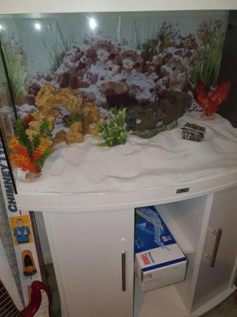 Image 3 of Bow fronted marine tank on white cabinet