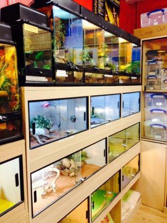 Image 10 of Warrington pets and exotics a fully stocked pet shop/store