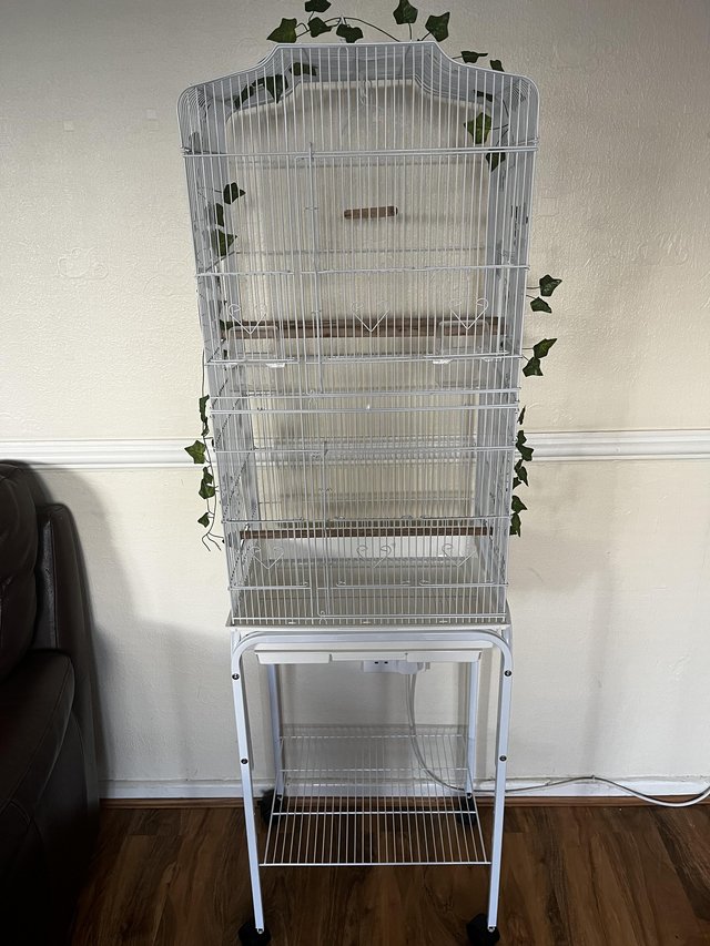 Preview of the first image of new bird cage with food, millets, bird-safe disinfectant.