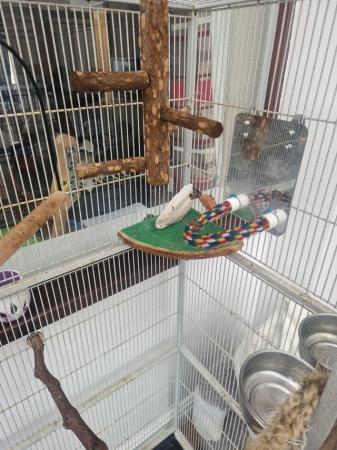 Image 5 of Large parrot cage lots toys