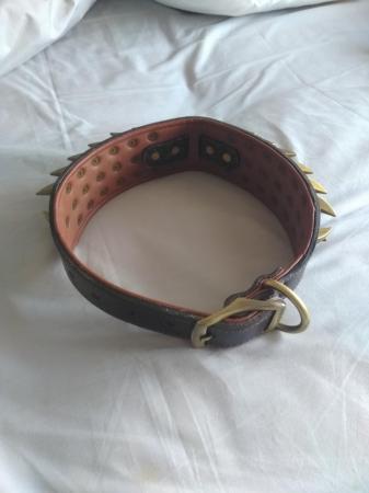 Image 3 of Dog collar with brass studs