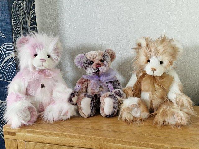Preview of the first image of 3 CHARLIE BEARSCOLLECTORS BEARS.