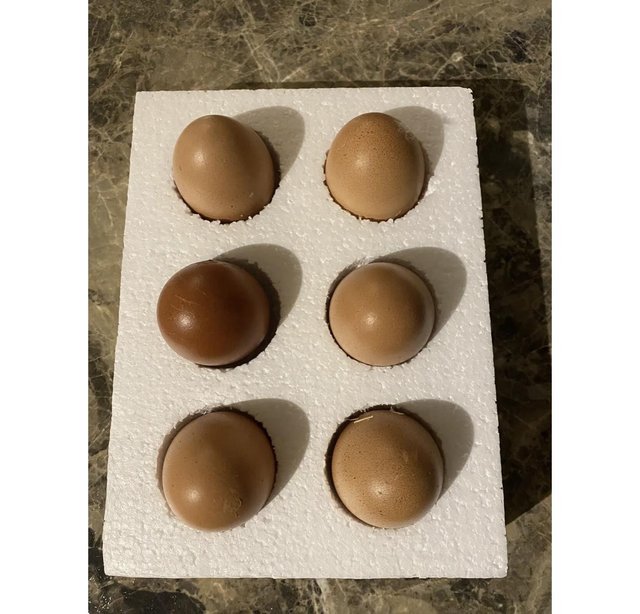 Preview of the first image of 6x fertile Cuckoo Maran Hatching Chicken Eggs.