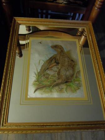 Image 1 of Otter Mirror Gold Ornate Frame 13.75 x 17.75 Inches