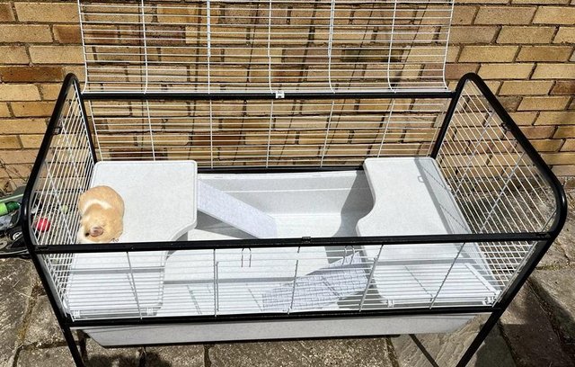 Image 3 of Guinea Pig / Rabbit Cage with stand