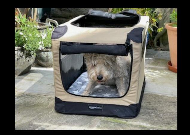 Image 1 of Amazon Basics Collapsable Dog Crate
