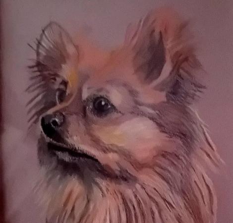 Image 6 of Hand Drawn Pet Portraits Of Your Beloved pets