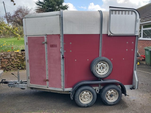 Preview of the first image of Ifor Williams 505 horse trailer.