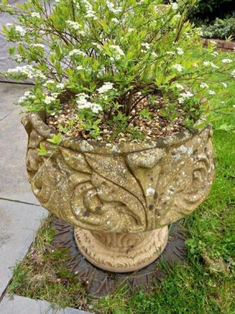 Image 1 of Pair of vintage planters including plants