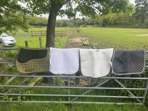 Image 1 of Loads of saddle pads (more than in photo) available