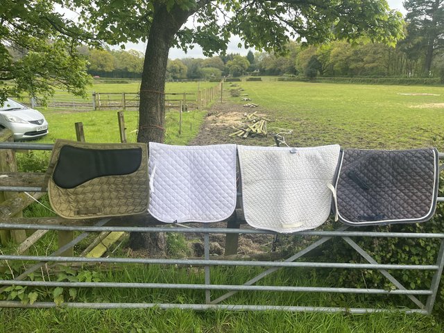 Preview of the first image of Loads of saddle pads (more than in photo) available.