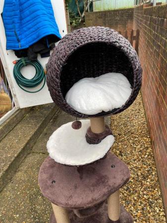 Image 5 of Cat scratching post from pets at home never used
