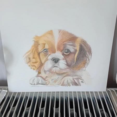 Image 3 of Hand Drawn Pet Portraits in pastel