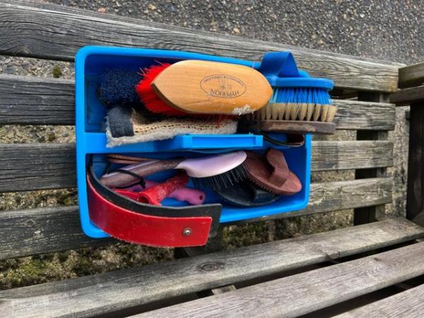 Image 1 of Grooming Kit and grooming box