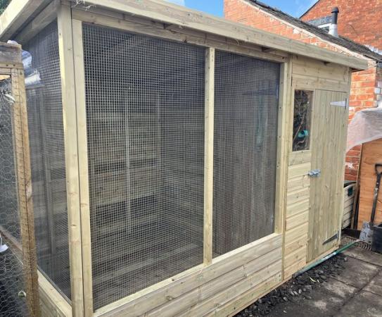 Image 2 of Rehoming of birds to a family run sanctuary  ????