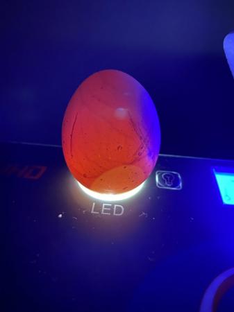 Image 2 of 6 Mixed Fertile chicken hatching eggs for sale