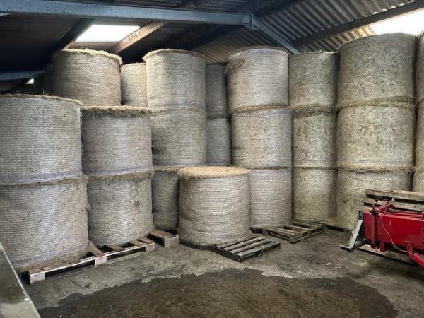 Image 4 of Round Bale Excellent Hay For Sale