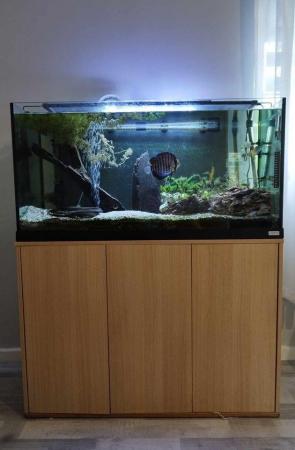 Image 5 of Stunning 200L Fish Aquarium with Stand & Accessories