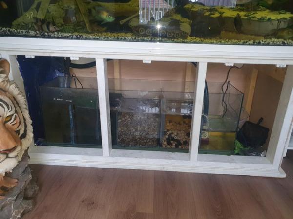 Image 2 of 5ft fish tank all included