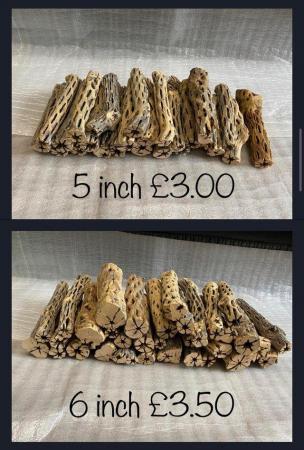 Image 2 of Cholla Wood, Great for Aquariums and birds/reptiles