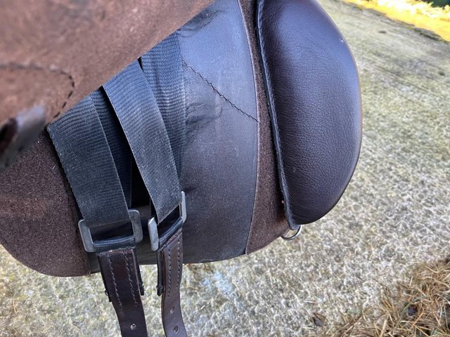 Preview of the first image of Smart Solutions Elite GP Treeless Saddle with Accessories.