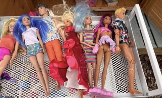 Image 3 of Barbie doll, Ken, skipper