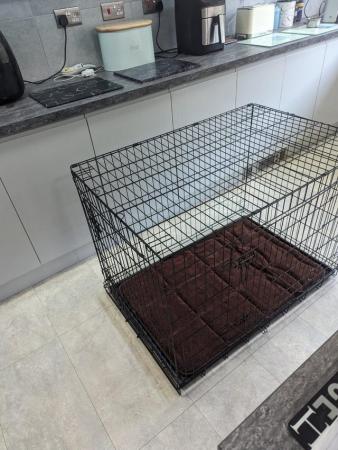 Image 5 of dog cage with mat xlarge