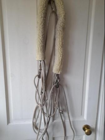Image 1 of Genuine Pessoa training aid for horses and f/s roller