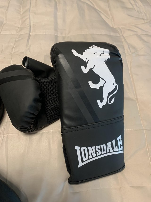 Preview of the first image of Joblot of 12oz boxing gloves/sparring pads.