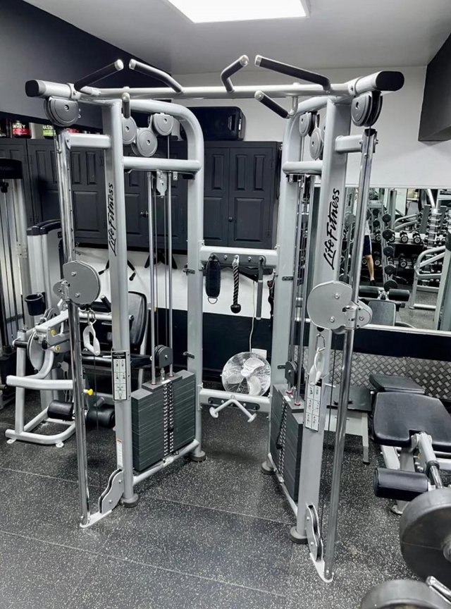 Preview of the first image of Life Fitness Signature Series Dual Adjustable Pulley.