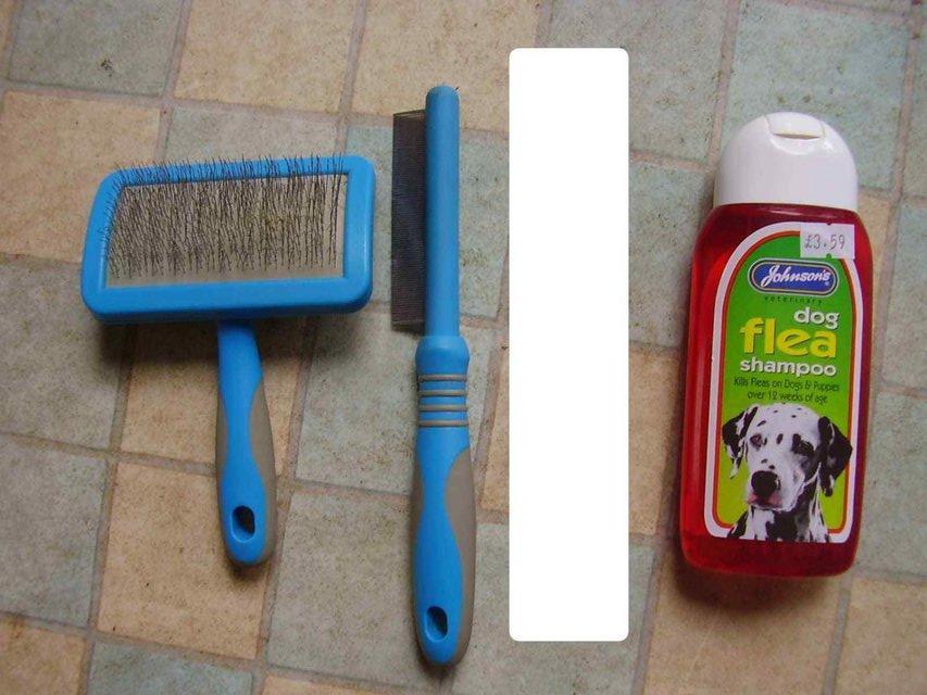 Preview of the first image of Flea comb, brush, wash mitten and out of date flea shampoo.