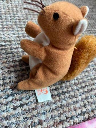 Image 2 of Cute Beanie Baby Squirrel 'Nuts' Cuddly Toy