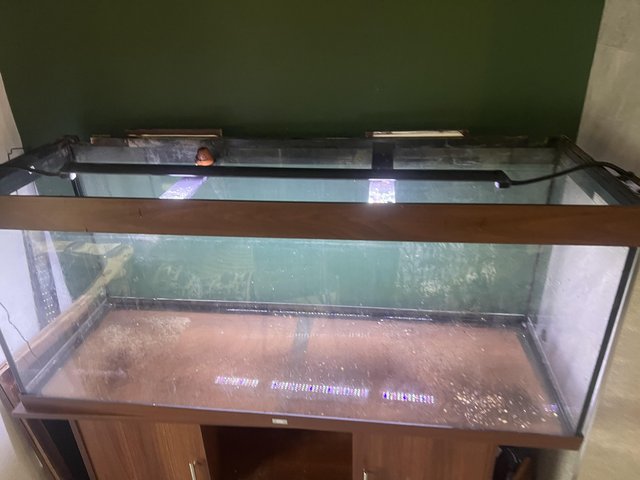 Preview of the first image of 450L Rio Jewel Fishtank NO LID Cheap quick sale.