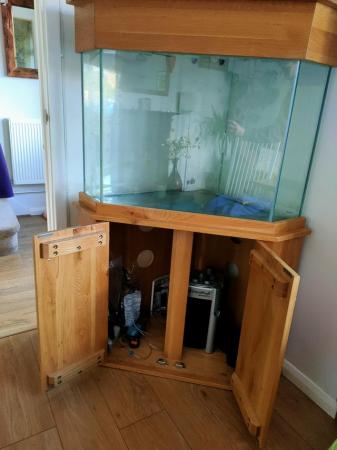 Image 2 of Corner Fish Tank with solid oak cabinet