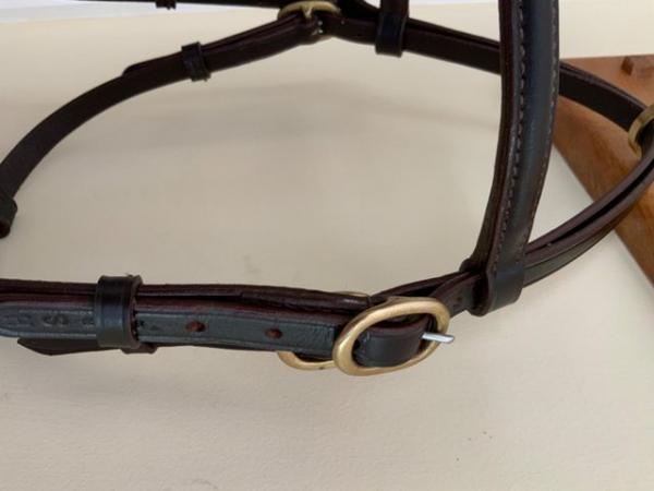 Image 3 of In Hand Bridle.  Bit less, Pony Size