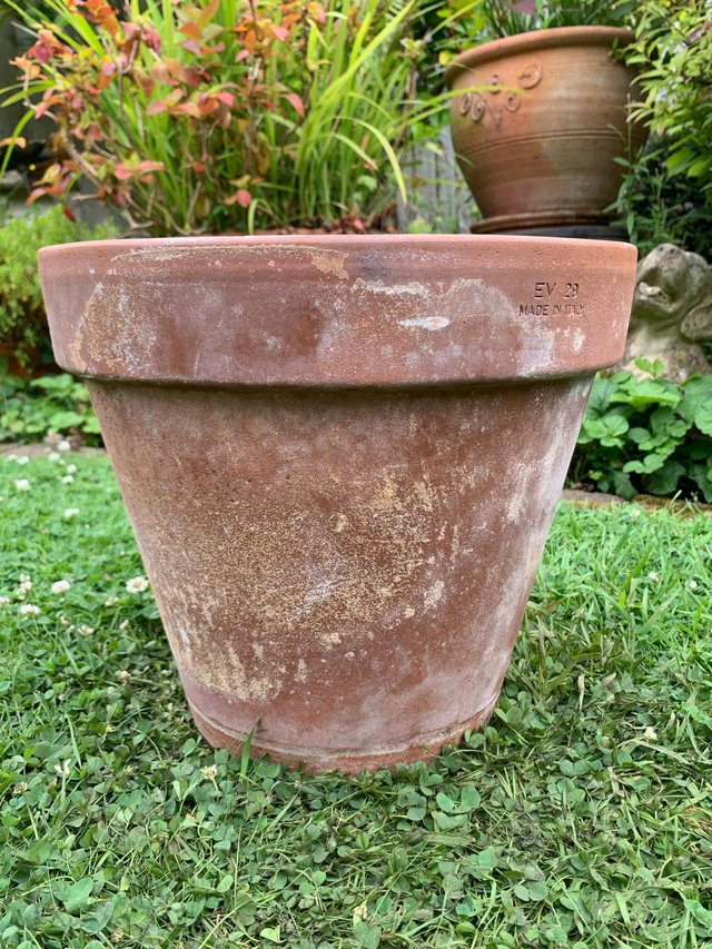 Preview of the first image of Nice terracotta plant pot.