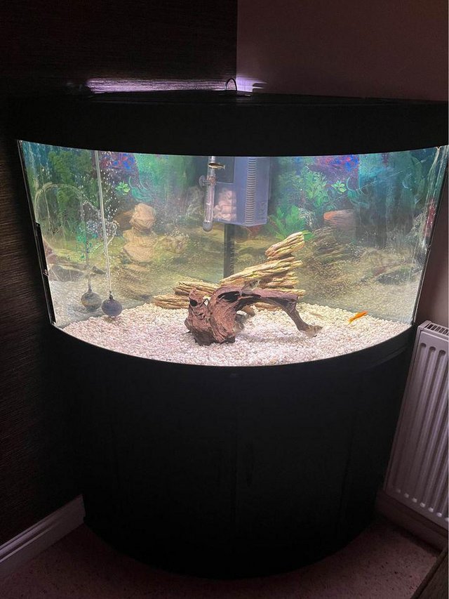 Preview of the first image of Juwel corner fish tank - 190L.