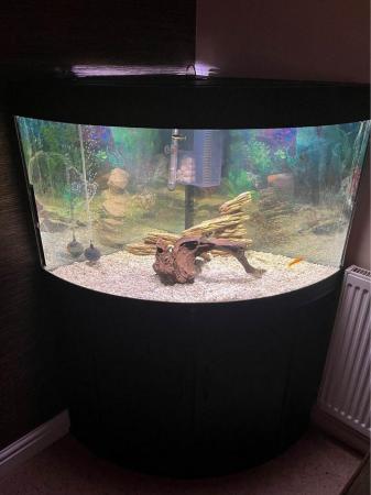 Image 1 of Juwel corner fish tank - 190L
