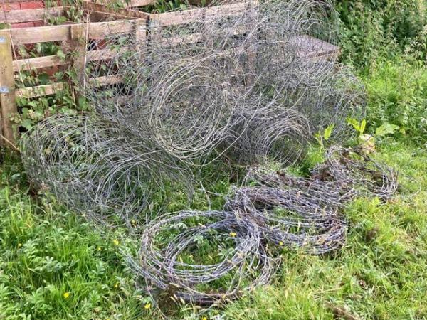 Image 1 of Stock fencing and barbed wire - FREE