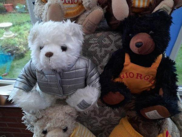 Image 2 of Collection of Gorgio teddy bears