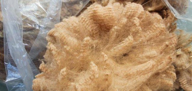 Image 1 of Alpaca fleece for sale - premium fibre from £17.50 per kg