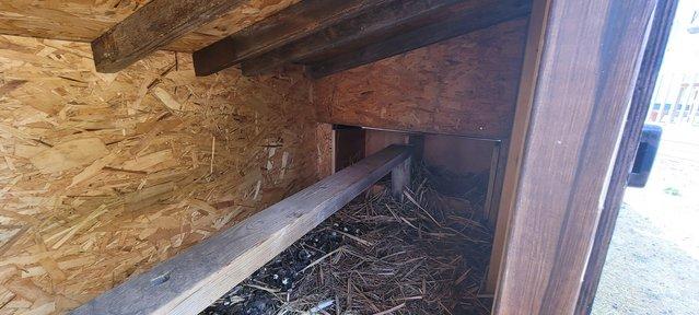 Chicken coop for 6-7 chickens — photo 3 of 3