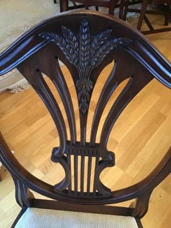Image 7 of 6 Dining Chairs including 2 Carvers.