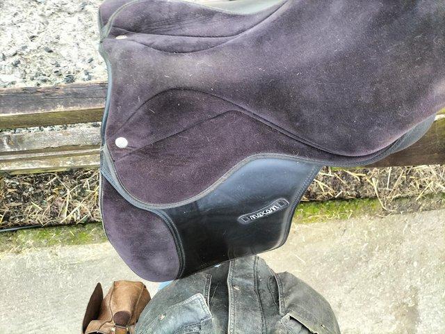 Preview of the first image of 16" Maxam Thoroughgood Black Synthetic WH  Saddle.
