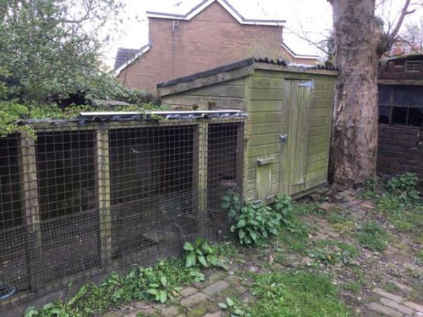 Image 3 of Chicken/duck hut for sale with run