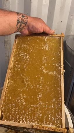 Image 9 of Local Natural Honey 1.5kg for sale