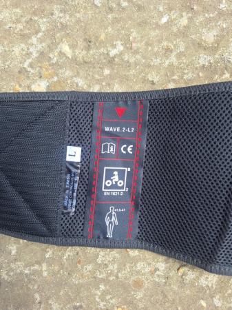 Image 2 of Dainese Large Motorcycle Back Protector