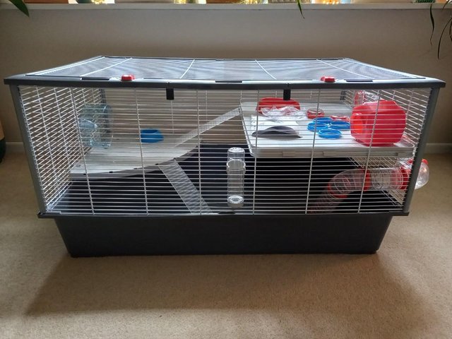 Ferplast hamster 2025 cage criceti 100