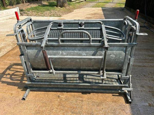 Image 1 of Ironworks sheep turnover crate