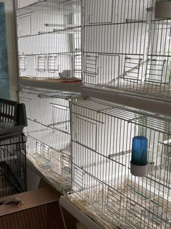 Image 1 of Plastic Breeding cages for sale